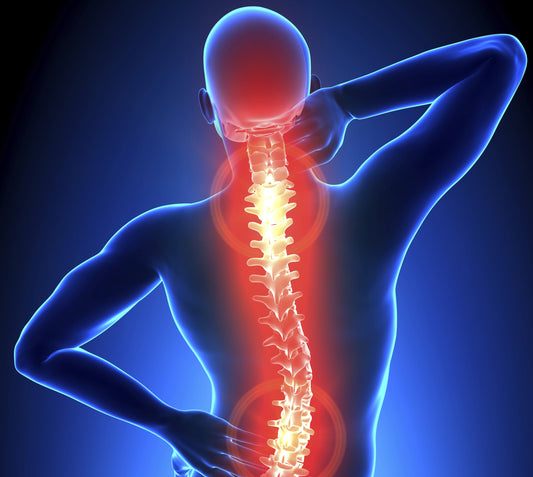 Exercises for Back Pain Relief in 2025: Move Your Way to a Happier Spine